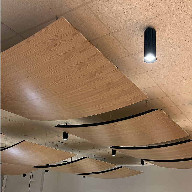 Acoustic Ceiling Reflector