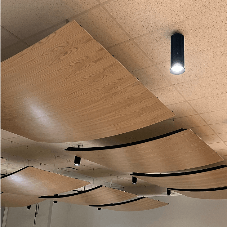 Acoustic Ceiling Reflector